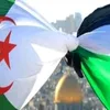 48bel.elarabi.48