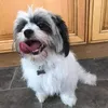 ng16_maisie13