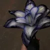 o0._st4rs._0o