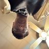 christopher_16.10