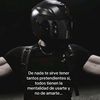 arlex_333