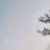 badmindactive5