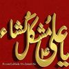 shoawibmughal