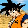 kakarot2663