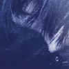 gia_huy_meo_meo