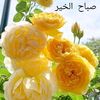 user5751261541724