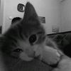 bumbbleebee_0
