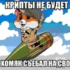 absoluteeckere
