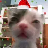 whos_d4n