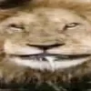 eabduklpjqf