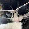 alex_0695