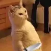 jiejie_10