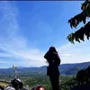 cuemg