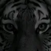 zmoonstar_wildcraft