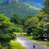 myo.min.aung6177