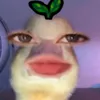 slaviiyah