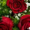 xaverabdullayeva7