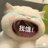ouo3815