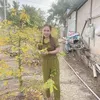 kieu.tien7073