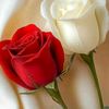 user3141051376187