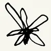 itz.caily