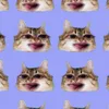 ehaacutee