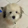 kiw_825