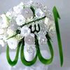 user7838074474367