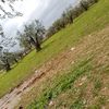user706713137190