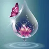 user4102963674035