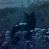 userfmgodj6c1b