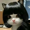 user80223120220431