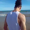 markusthevies