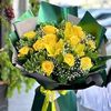 7522677926adencub0