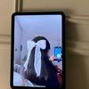 ihhbubu5