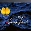 mohammedmahmoud2725