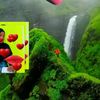 user11320511110292