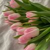 umm_ali09