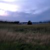 tsbravyn