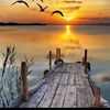 abouchihab8