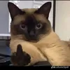 mistertje_