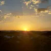 sofi_032920