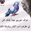 user3967166598000