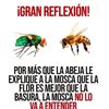 marisol.gulloso