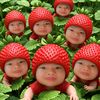 nattasil_wsn