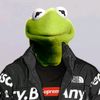 kermit.mermit1