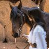 nourbou363