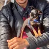 alilio75