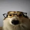 bl00dyfall