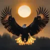murtaza.alhussain6